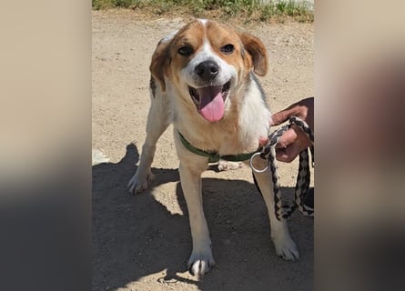 Gilda: erobert alle Herzen mit ihrer Fröhlichkeit