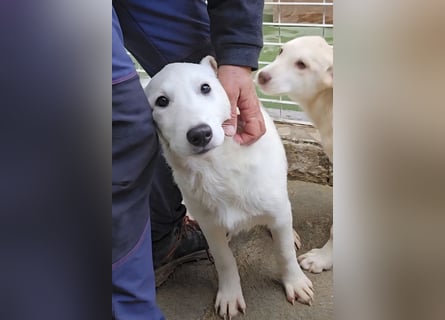 Kate: wird mein Leben bunt und schön?