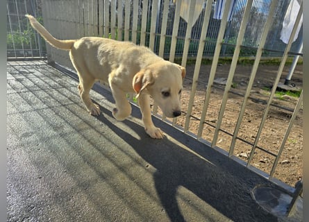Nami und Noe: vom Flughafen ins schöne Leben