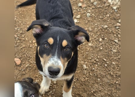 Betty: Eine für Alle