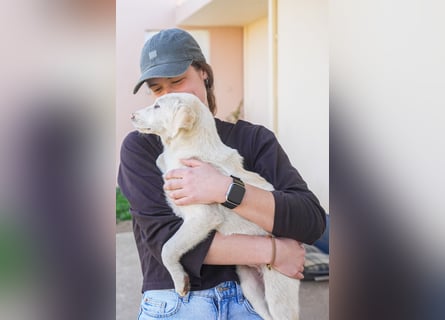 Lillith sucht ein Zuhause