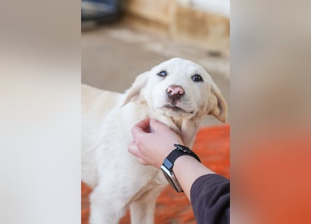 Lillith sucht ein Zuhause