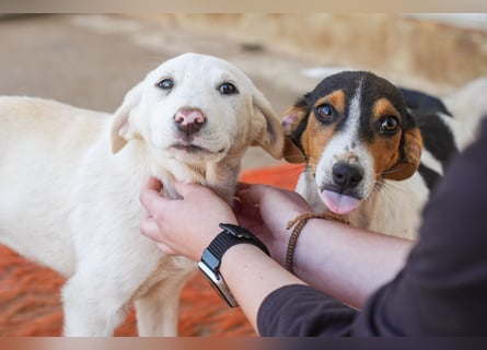 Lillith sucht ein Zuhause