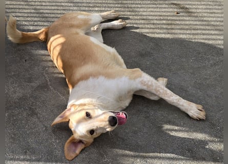 Trilly: ein Schatz für die ganze Familie