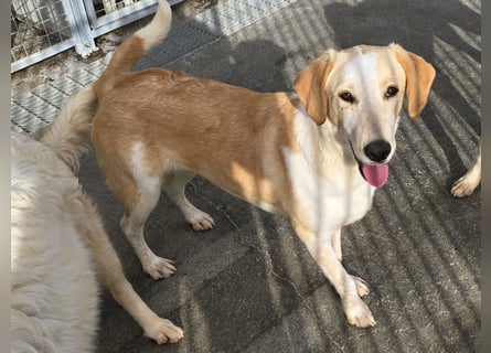 Trilly: ein Schatz für die ganze Familie