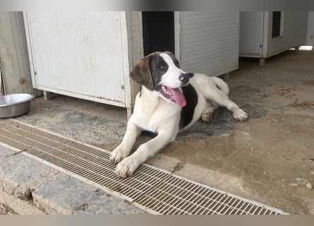 Carlo: ihn muss man lieb haben