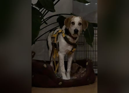 Anouk: sucht Liebe und Geborgenheit