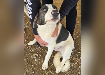 Carlo: was will man mehr?