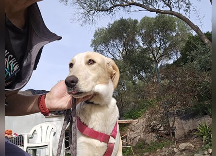 Trilly: ein Schatz für die ganze Familie