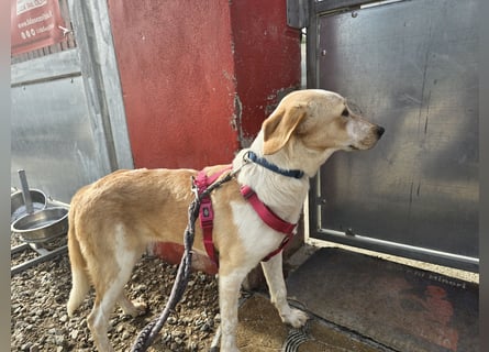 Trilly: ein Schatz für die ganze Familie