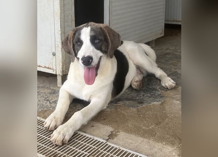 Carlo: was will man mehr?