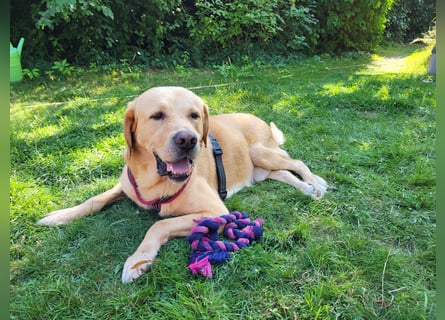 Cirilo: wünscht sich einen Garten und 1000 Streichelhände