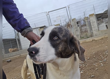 Carlo: was will man mehr?