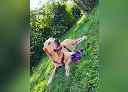 Cirilo: wünscht sich einen Garten und 1000 Streichelhände