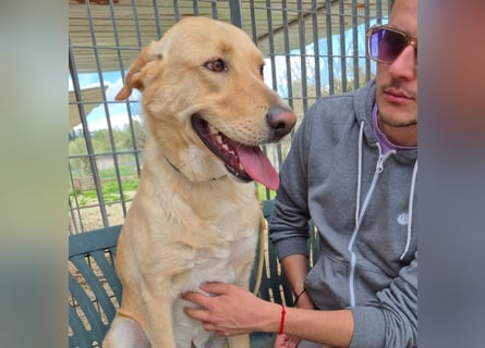 Akash - RESERVIERT - für mehr Lachen, Leben und Liebe in deinem Alltag