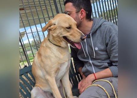 Akash - RESERVIERT - für mehr Lachen, Leben und Liebe in deinem Alltag