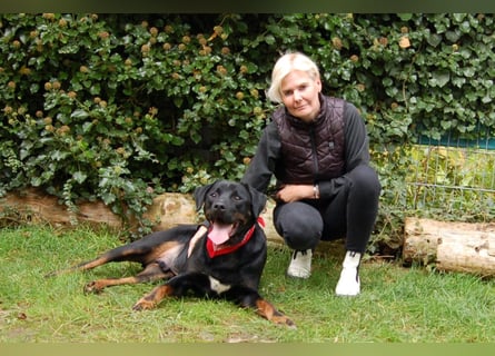 Chopper - Wirbelwind mit Köpfchen - Tierhilfe Franken e.V.