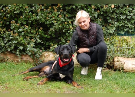 Chopper - Wirbelwind mit Köpfchen - Tierhilfe Franken e.V.