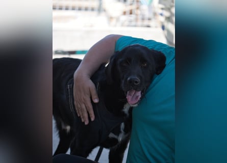 Dibala - ein Herz aus purem Gold