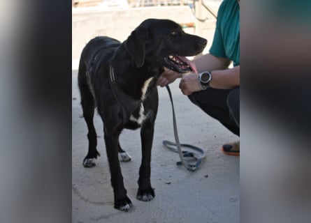 Dibala - ein Herz aus purem Gold