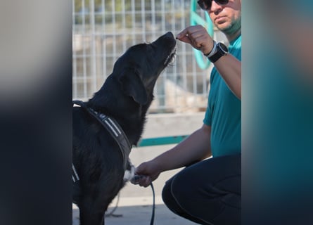 Dibala - ein Herz aus purem Gold