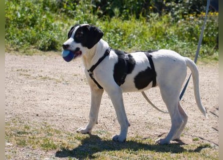 Alice- mit einem Lächeln ins Wunderland