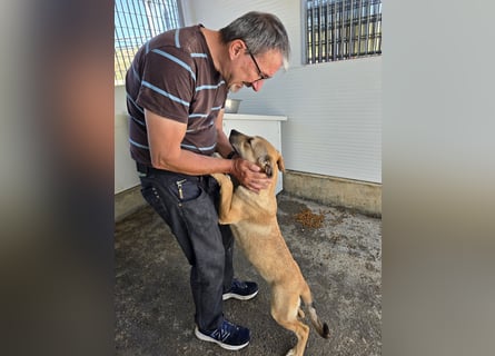 Rufus: ihn muss man lieb haben