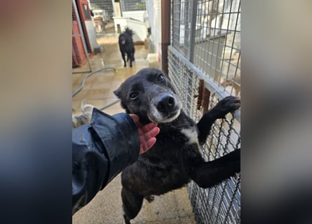 Ena: nur einmal Liebe spüren...