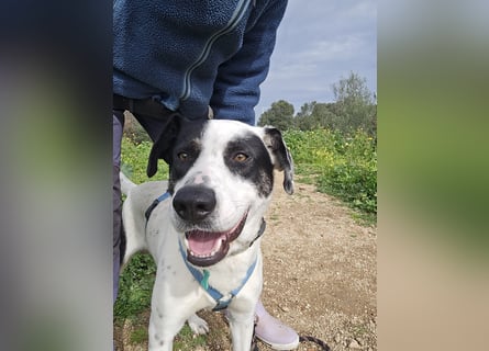 Diddo:  verschmuster Schatz hatte eine Familie