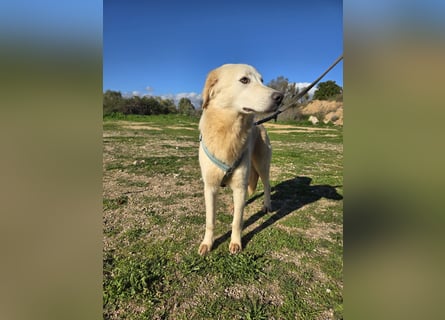 Nala: sie ruht in sich