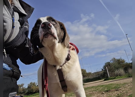 Carlo: was will man mehr?