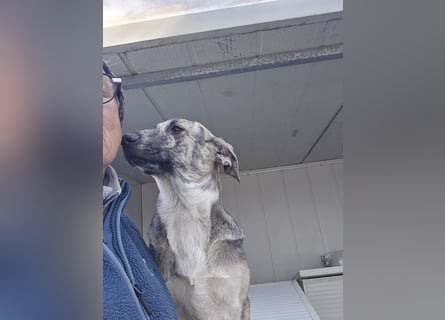 Cheyenne: Wärme und Geborgenheit gesucht