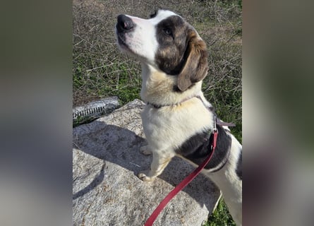 Carlo: was will man mehr?