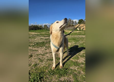 Nala: sie ruht in sich