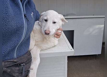 Clarissa: sehnt sich nach 1000 Streichelhänden