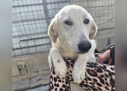 Teo: unkompliziert, freundlich, sozial