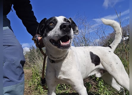 Diddo:  verschmuster Schatz hatte eine Familie