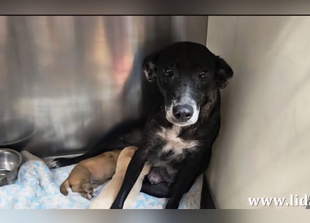 Ena: nur einmal Liebe spüren...