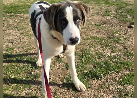 Carlo: was will man mehr?