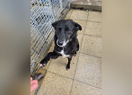 Ena: nur einmal Liebe spüren...