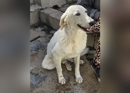 Teo:  wer zeigt ihm die bunte Welt?