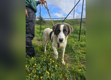 Carlo: einfach klasse!