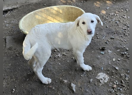 Clarissa: sehnt sich nach 1000 Streichelhänden