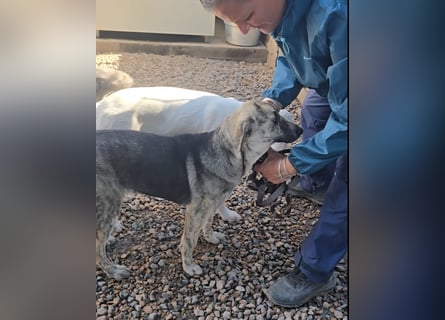 Cheyenne: Wärme und Geborgenheit gesucht