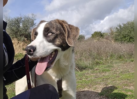 Carlo: was will man mehr?