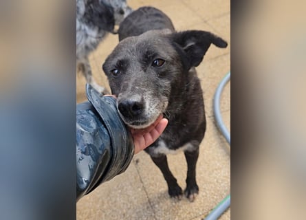 Ena: nur einmal Liebe spüren...