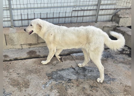 Teo: unkompliziert, freundlich, sozial