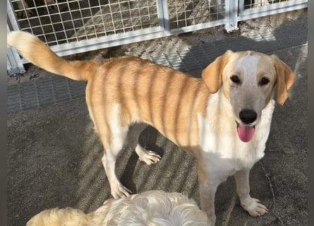 Trilly: ein Schatz für die ganze Familie