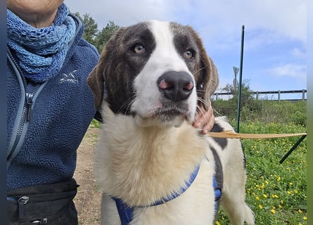 Carlo: einfach klasse!