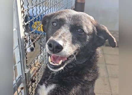 Ena: nur einmal Liebe spüren...